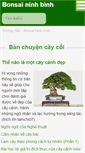 Mobile Screenshot of bonsaininhbinh.com